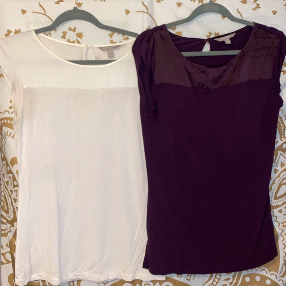 Two (2) Banana Republic Tops